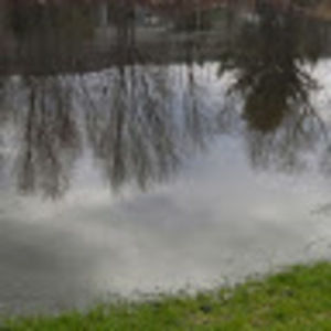 Meet your Posher, Tommy